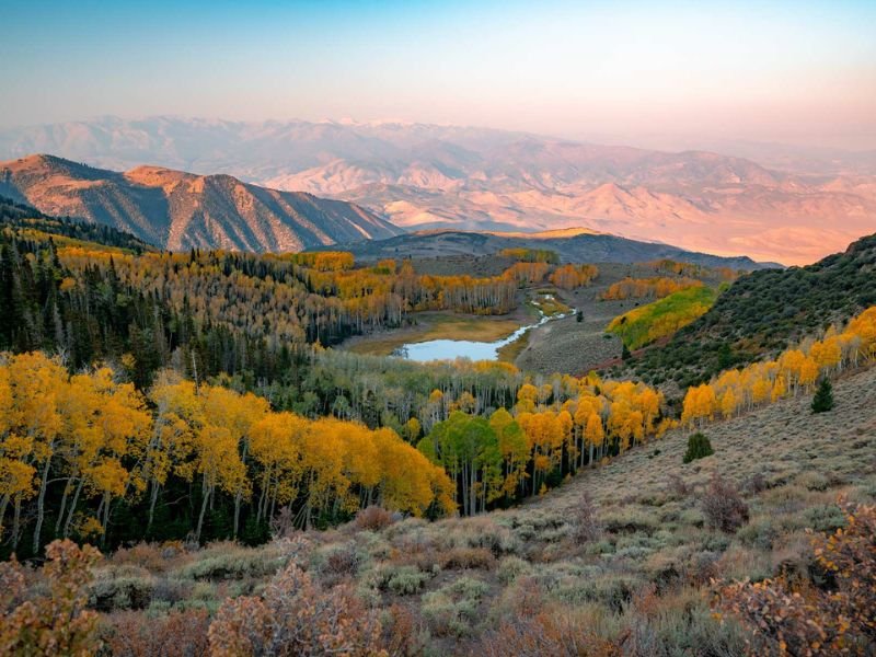 FishLake National Forest