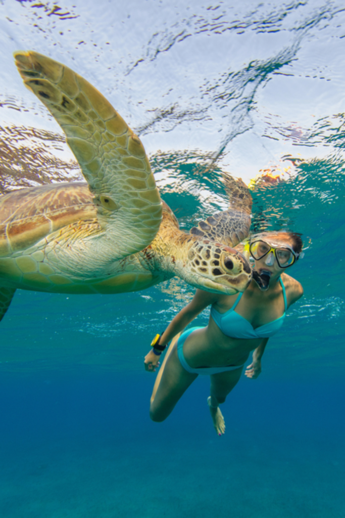 Kapalua Bay Maui Hawaii calm turquoise water snorkeling babymoon 2026