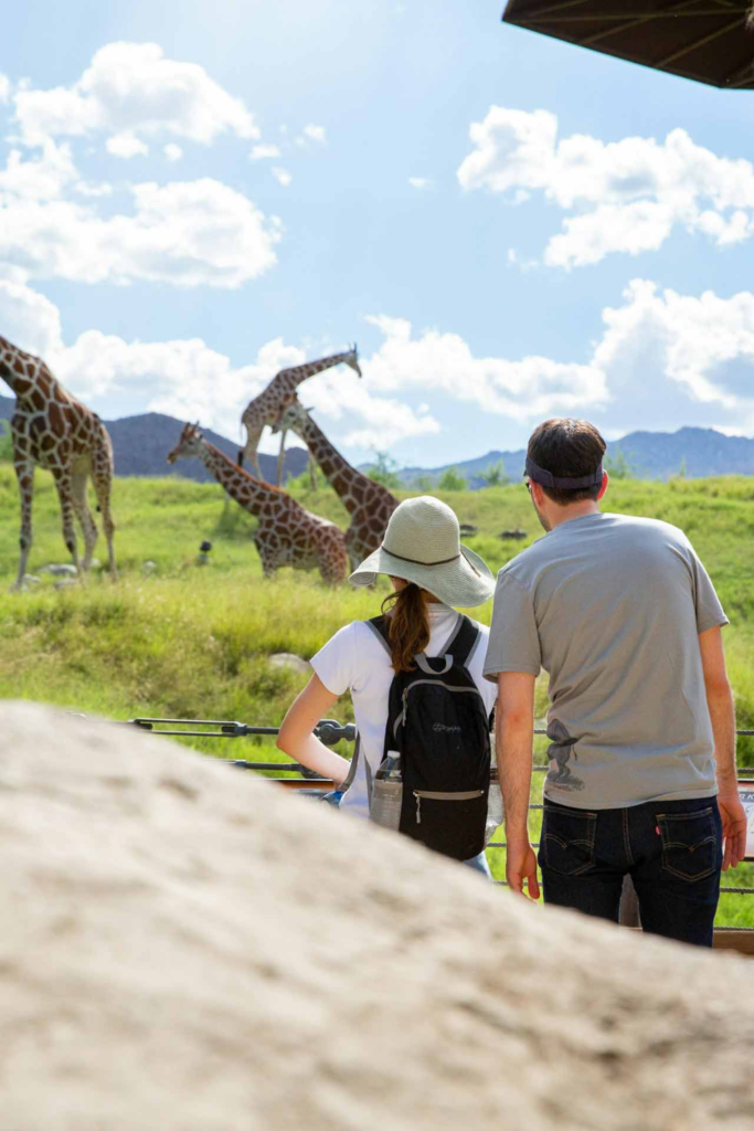 Living Desert Palm Desert zoo botanical garden couples babymoon morning 2026