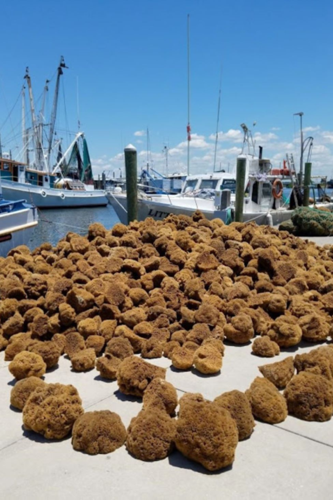 Tarpon Springs Florida Greek sponge docks waterfront couples babymoon 2026