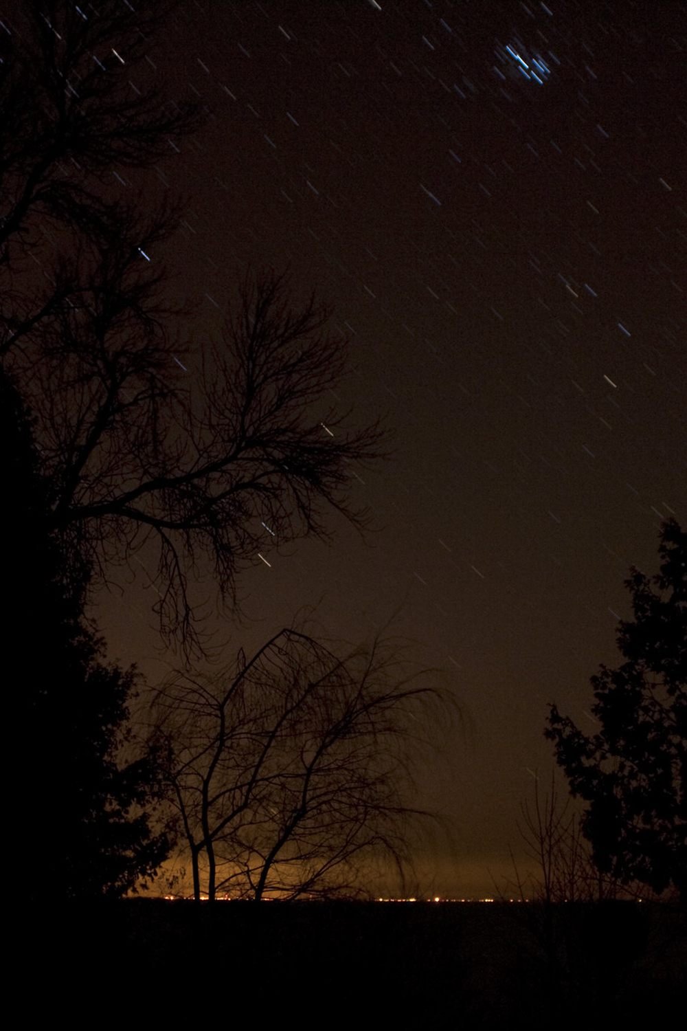 Stars over trees on a dark Door County night